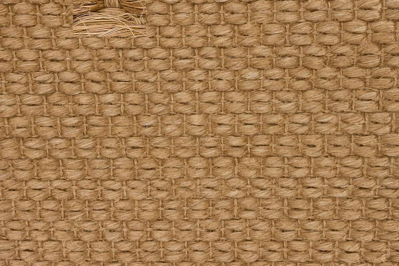 Trilby Cinnamon