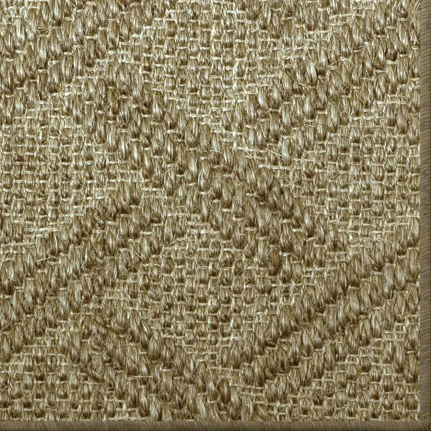 Fire Island Oat Straw