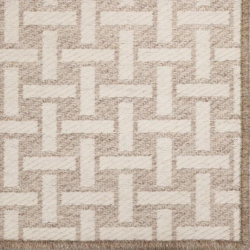 Oligarchic Angora