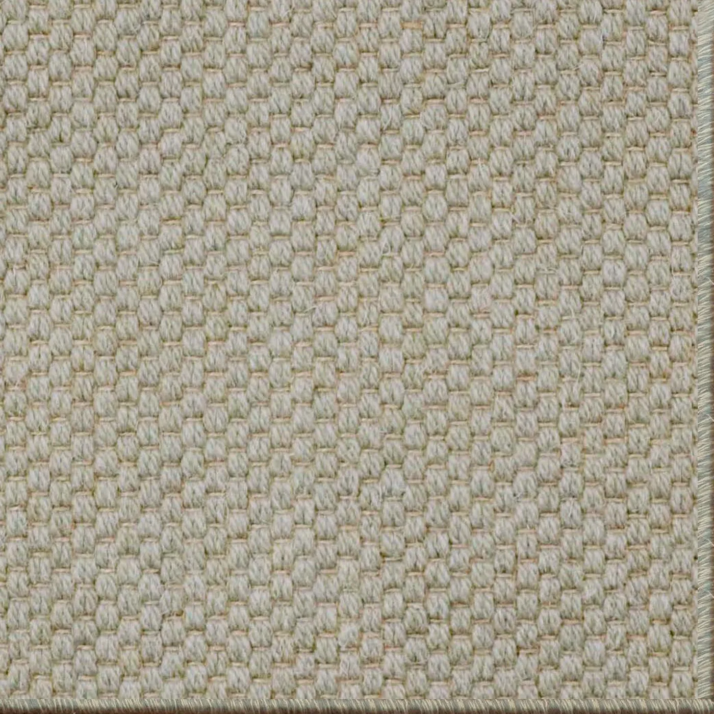 Wallis Sage Brush