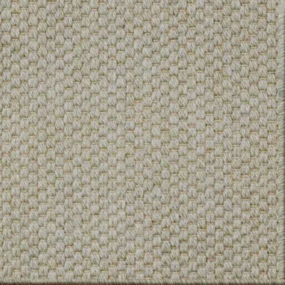 Sage Brush