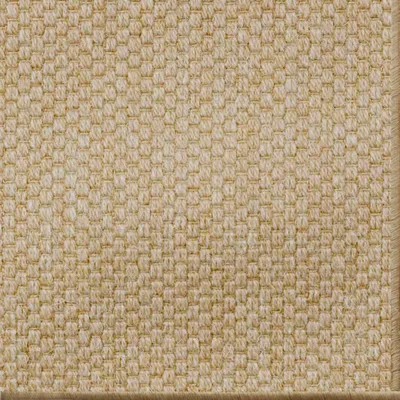 Rice Grain