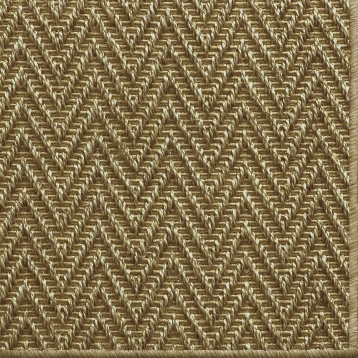 Stylus Sand Dollar