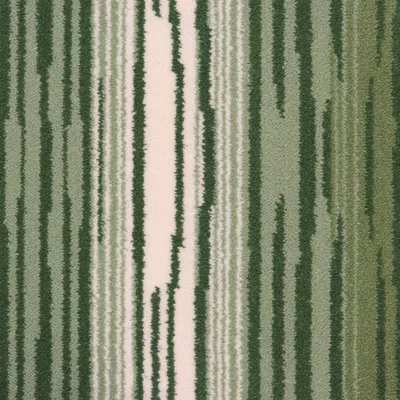 Spruce