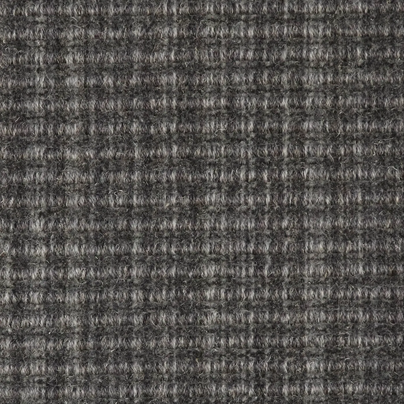 Gully Dapple Grey