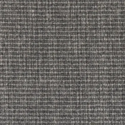 Dapple Grey