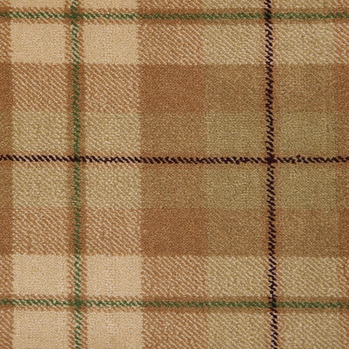 Royal Edition Scotic Tan