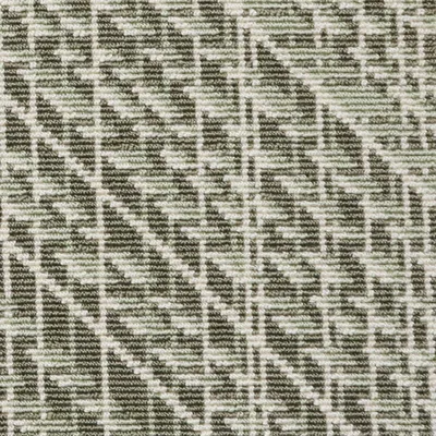 Palm