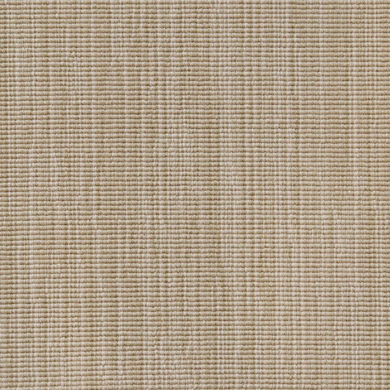 Antonella Wheat