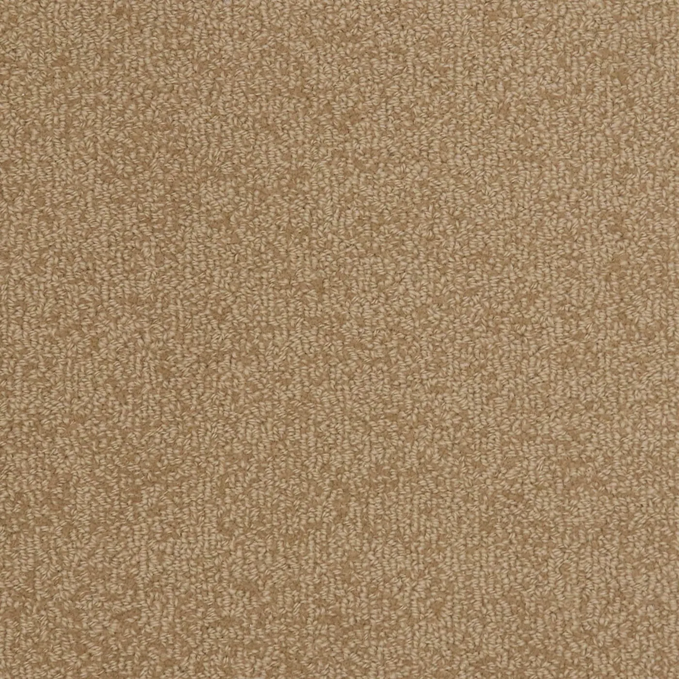 Woolshire Chamois