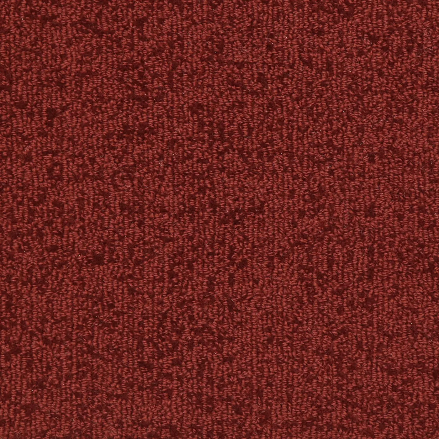 Woolshire Cimmeron