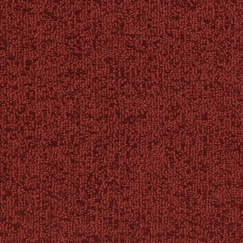 Woolshire Cimmeron