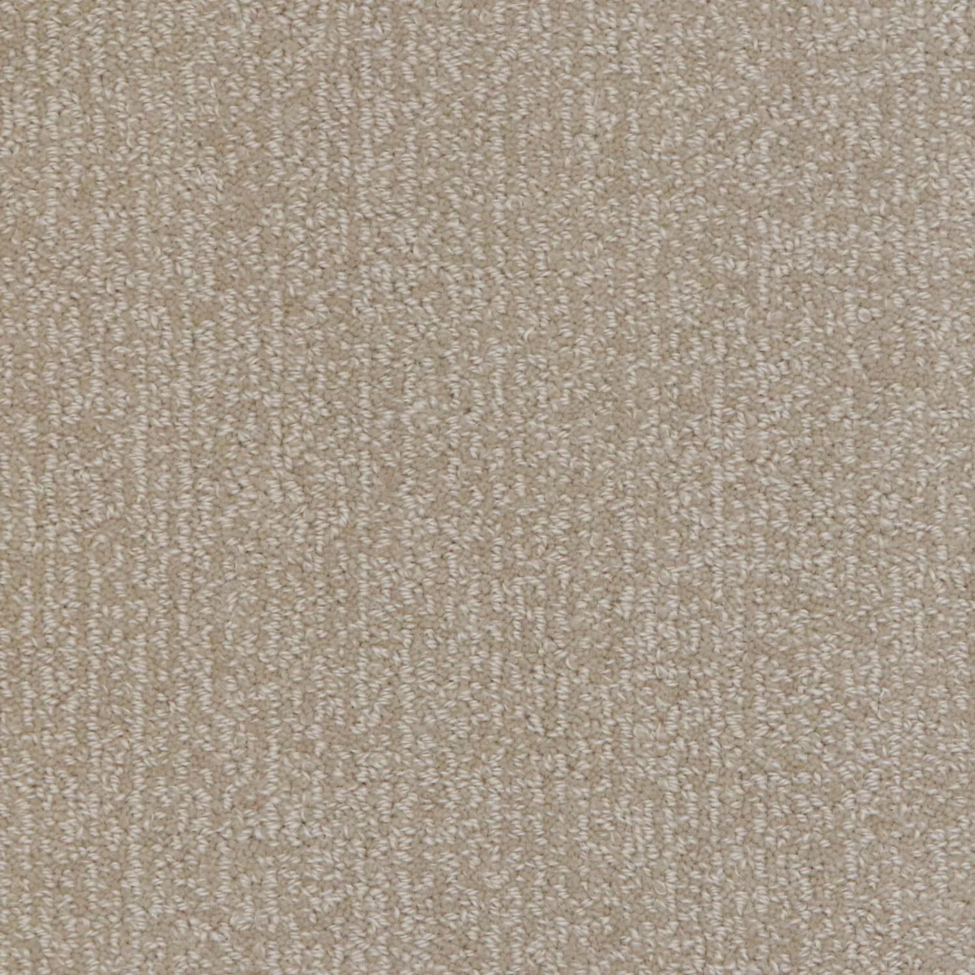 Woolshire Latte