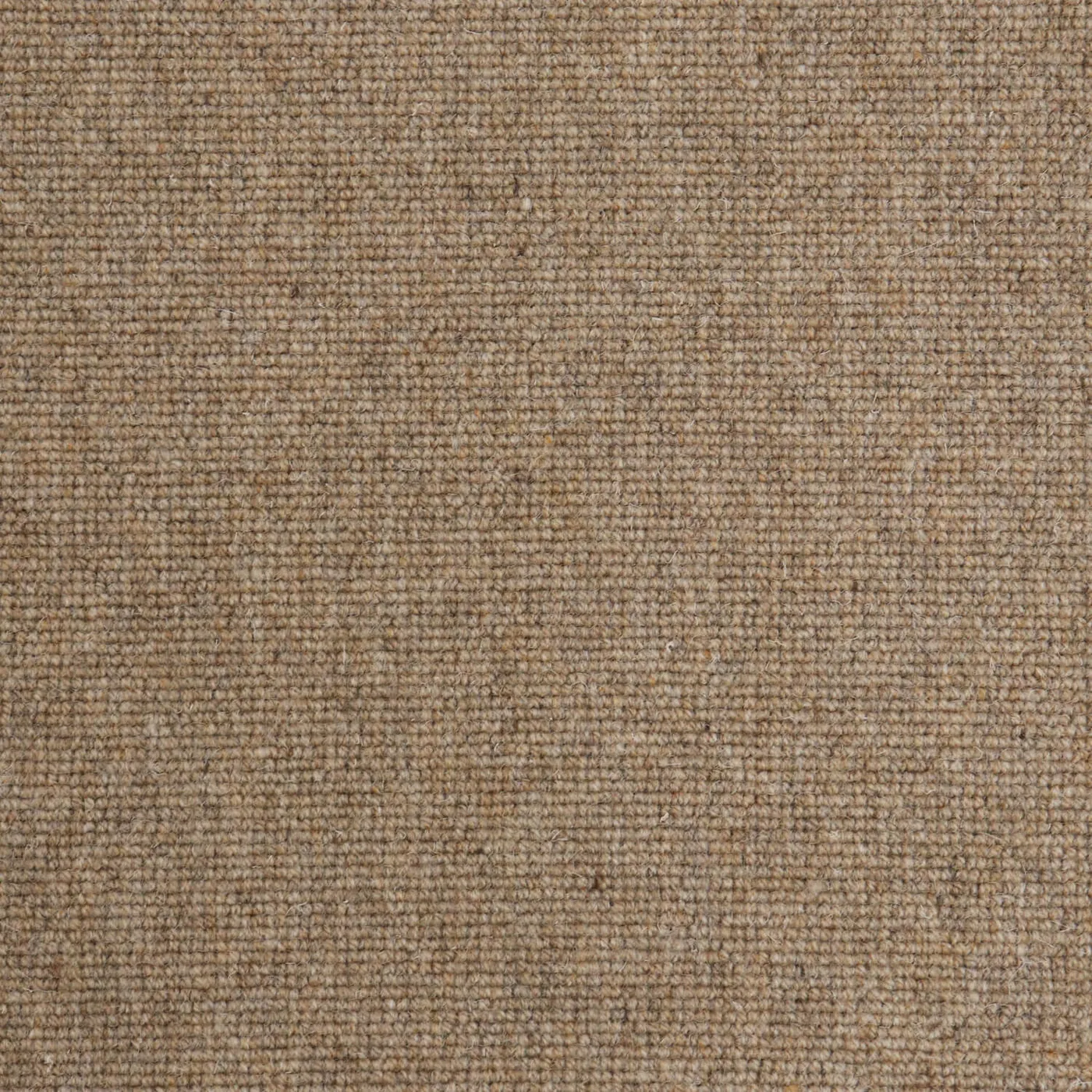 Vanogon Oatmeal