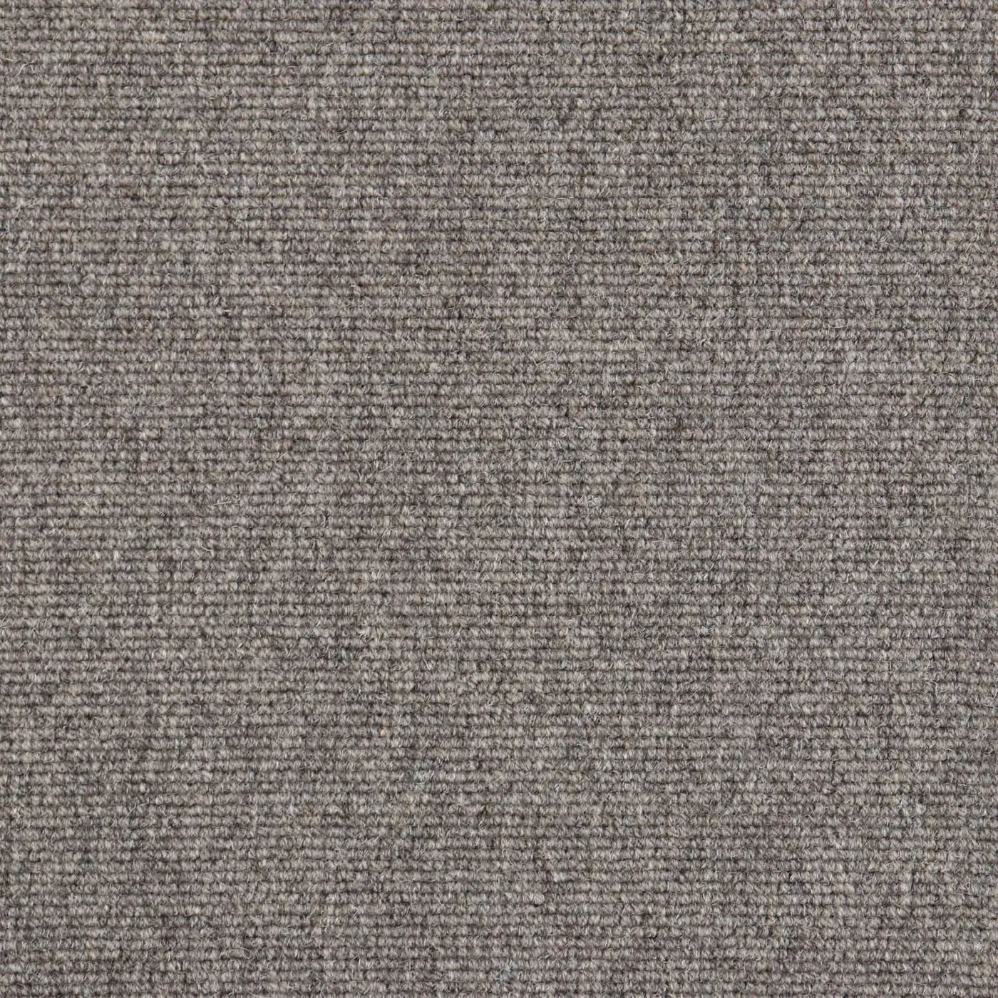 Vanogon Dapple Grey