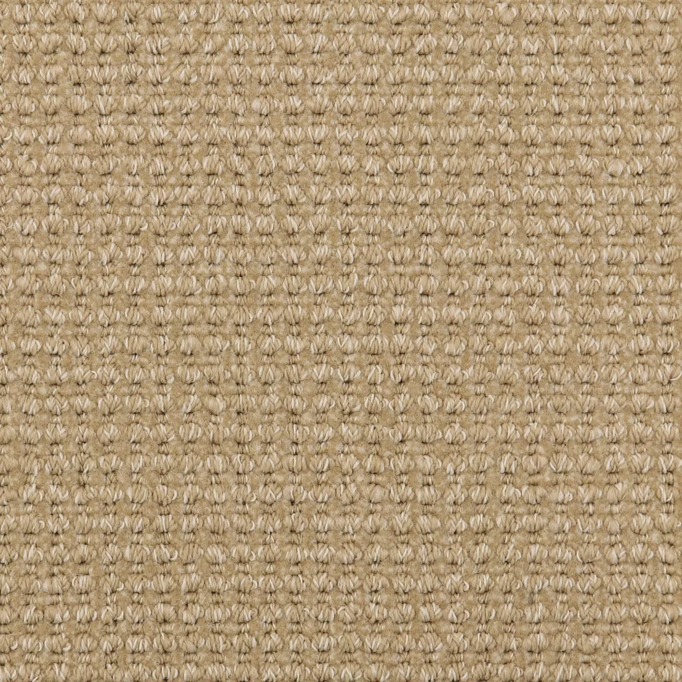 Timber Horsehair