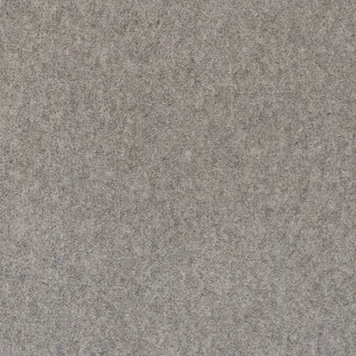 Grey Shale