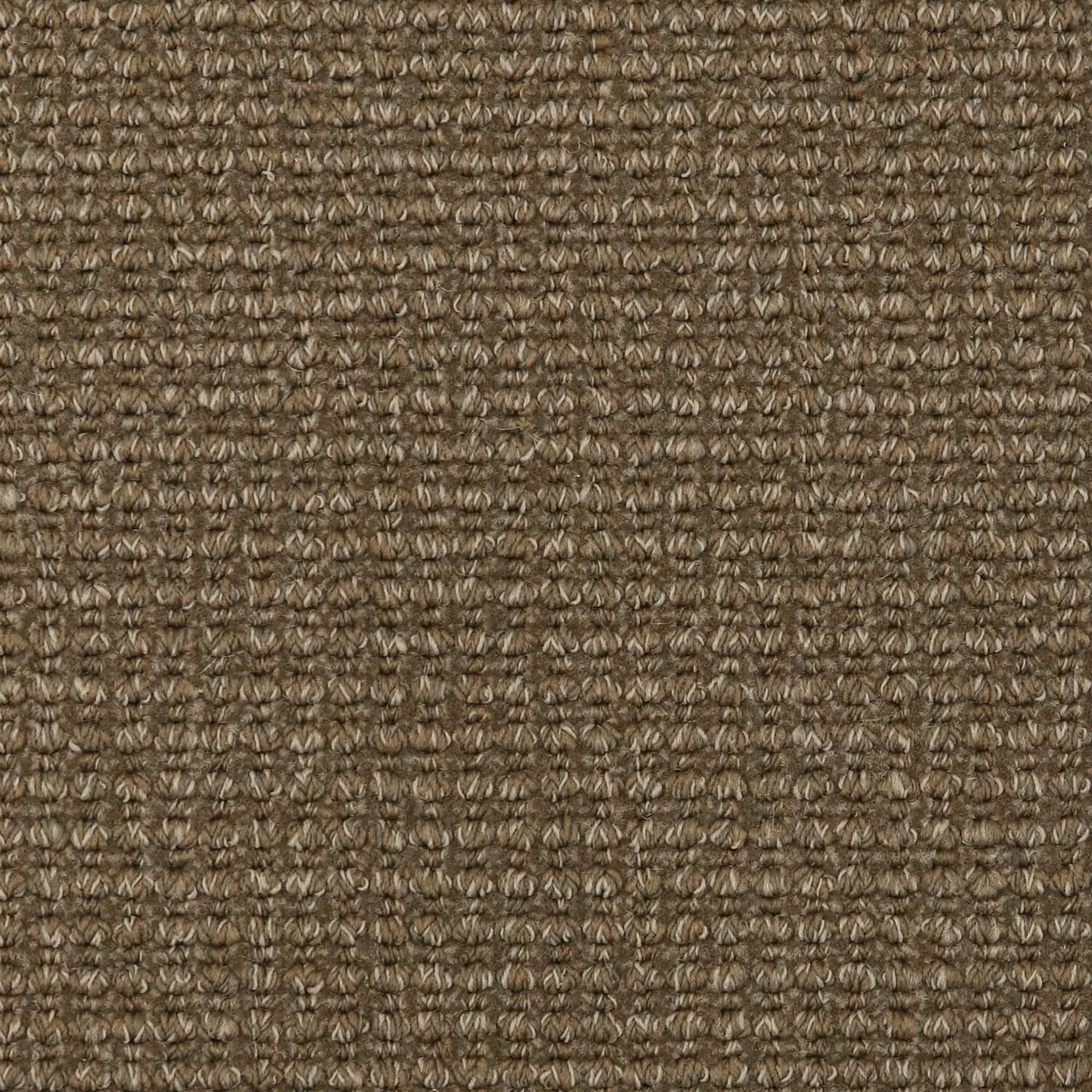 Timber Walnut