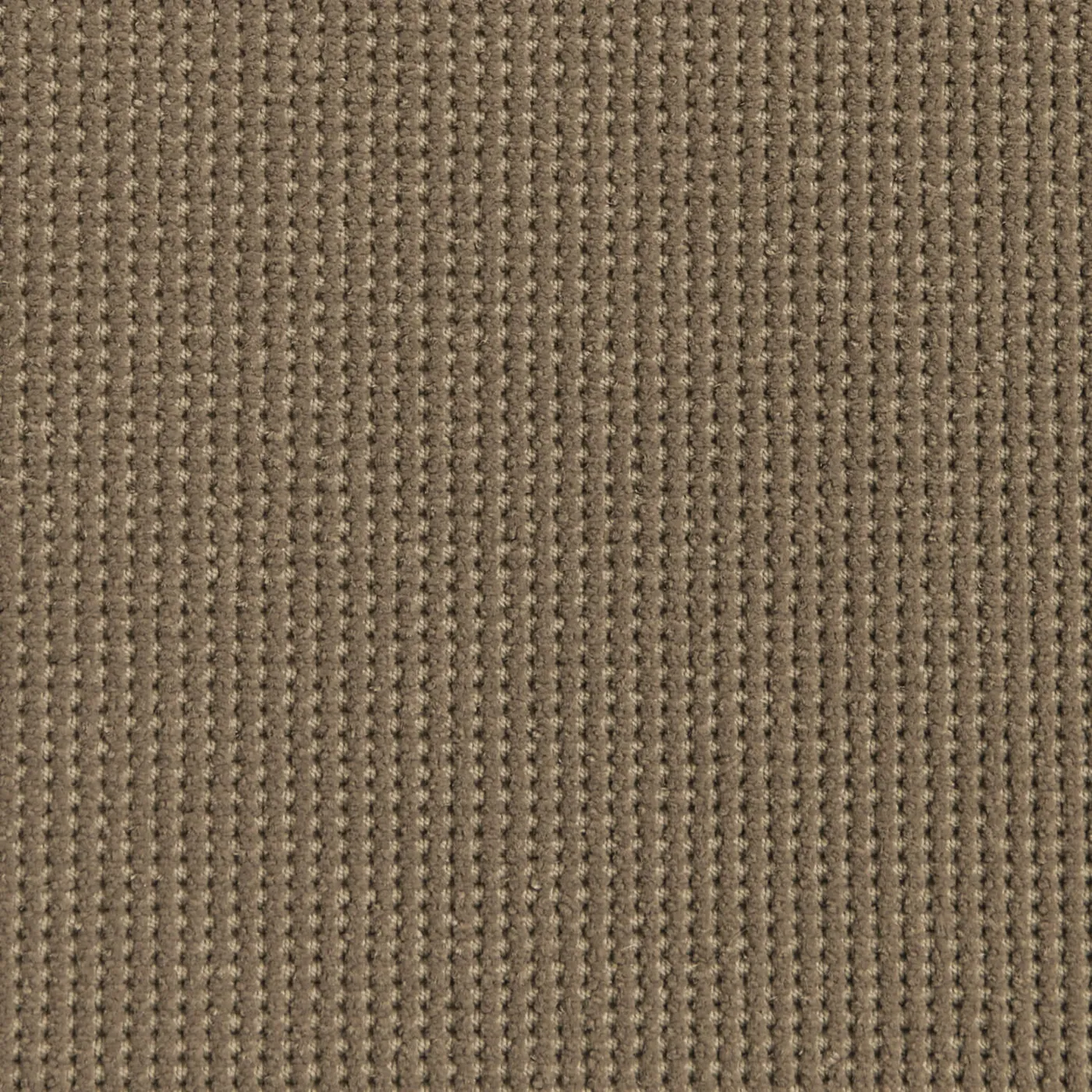 Foundation Barley