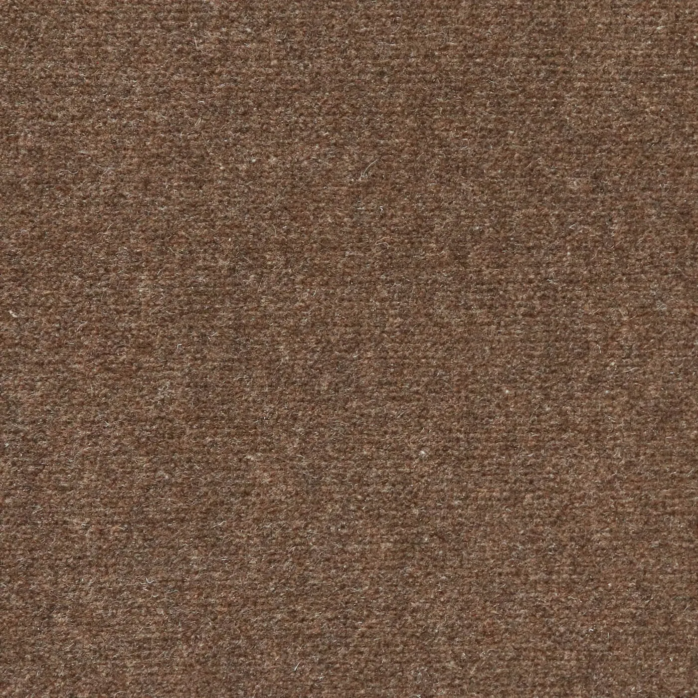 Clean Break Camel Brown