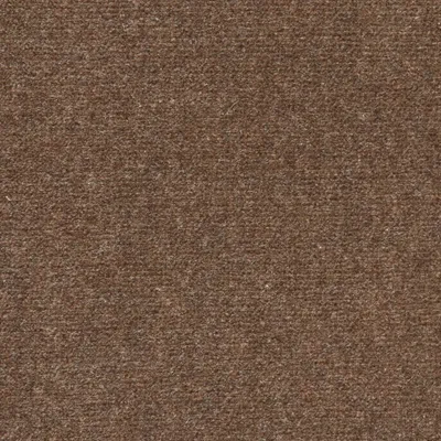 Camel Brown