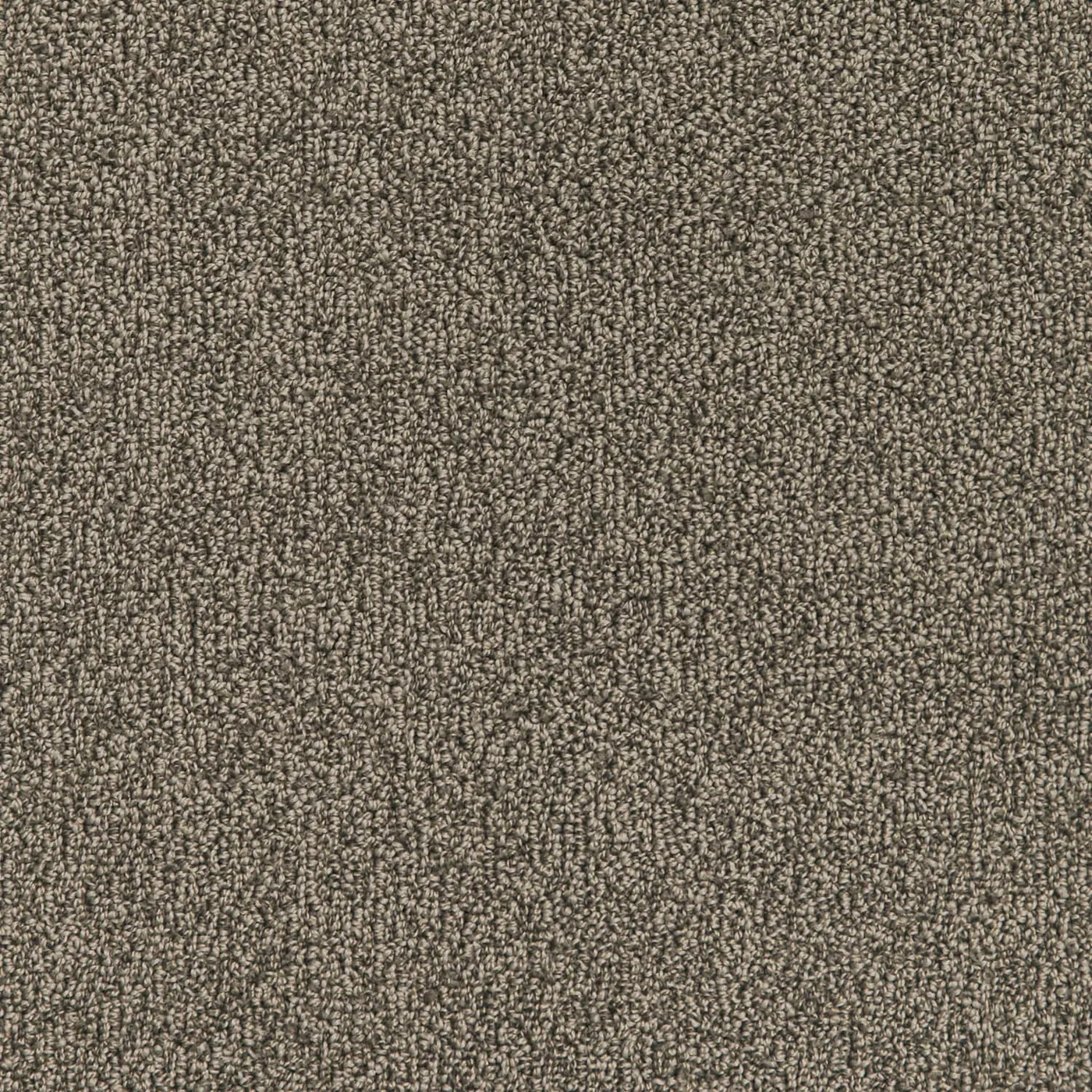 Exchange Elephant Marl