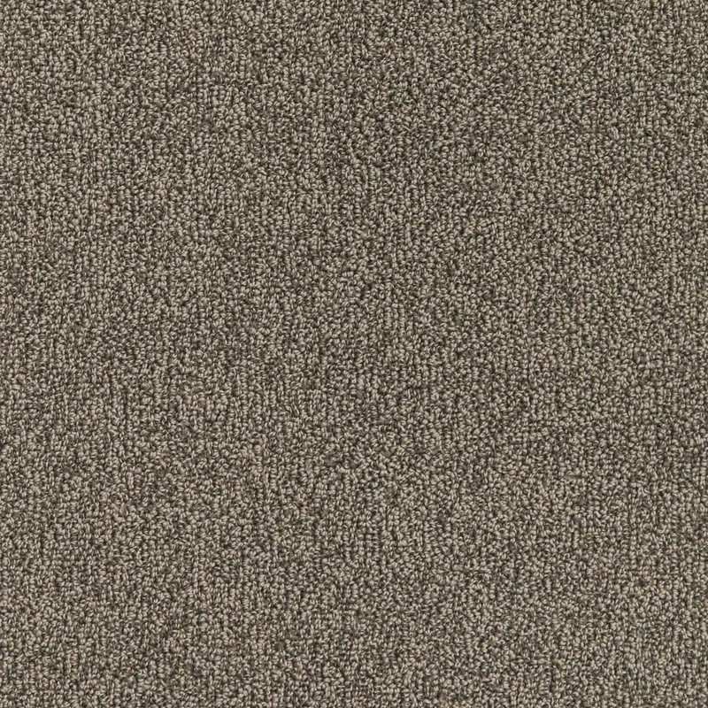 Exchange Elephant Marl