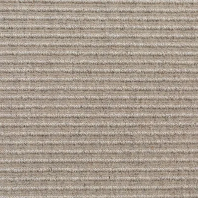 Sand Dune