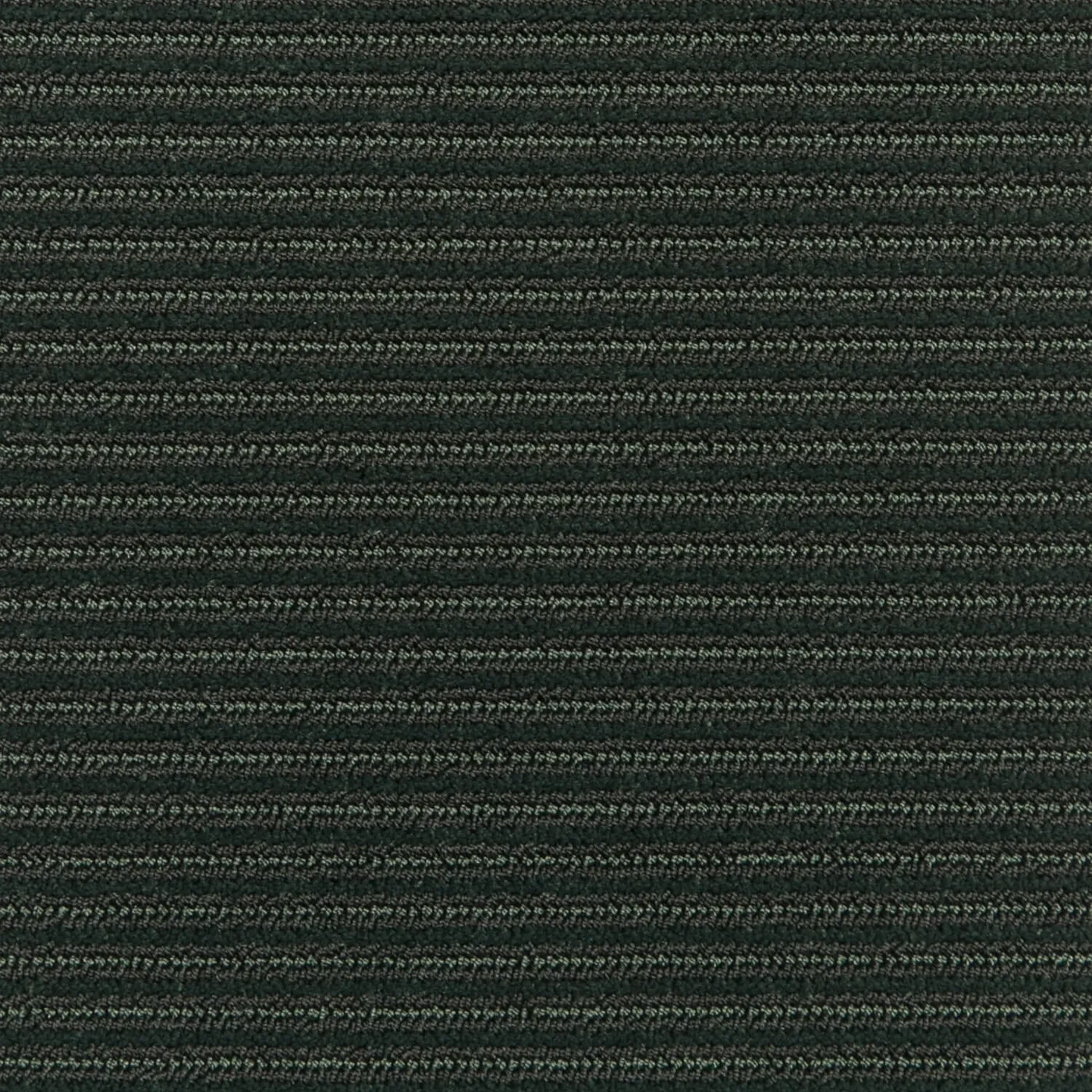 Grooved Teal