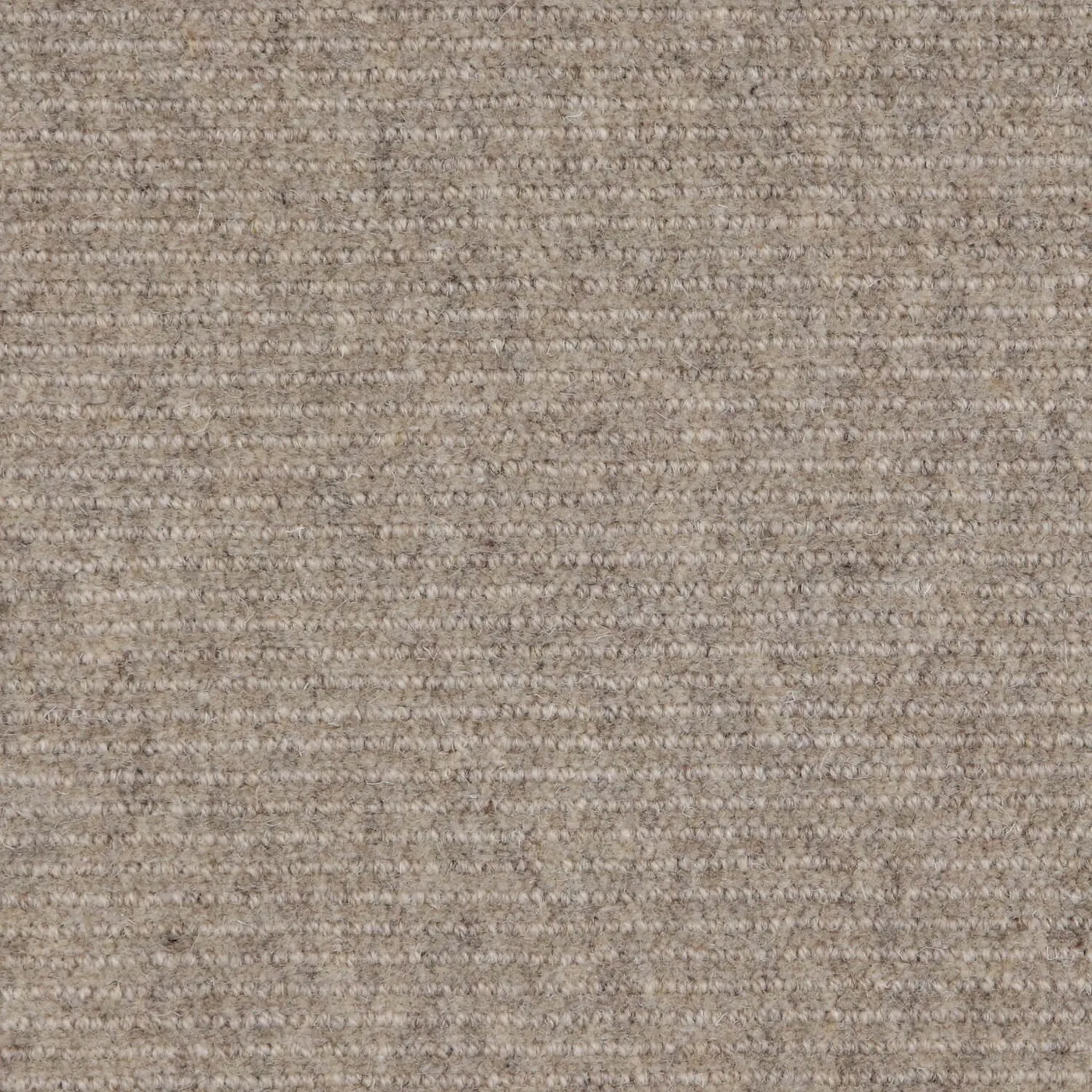 Rare Waters Sand Dune