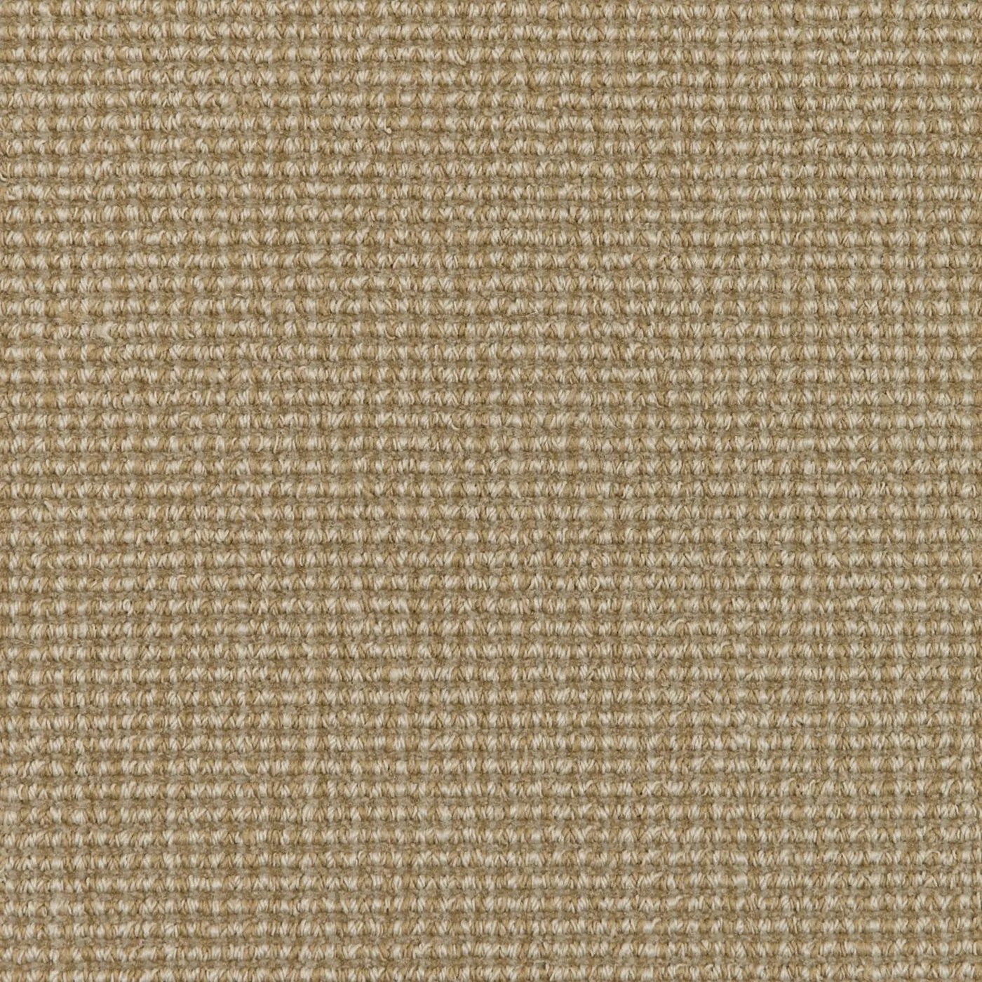 Decorative Sheen Horsehair