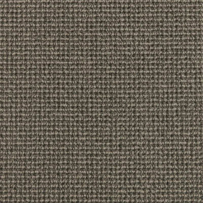 Decorative Sheen Catclaw