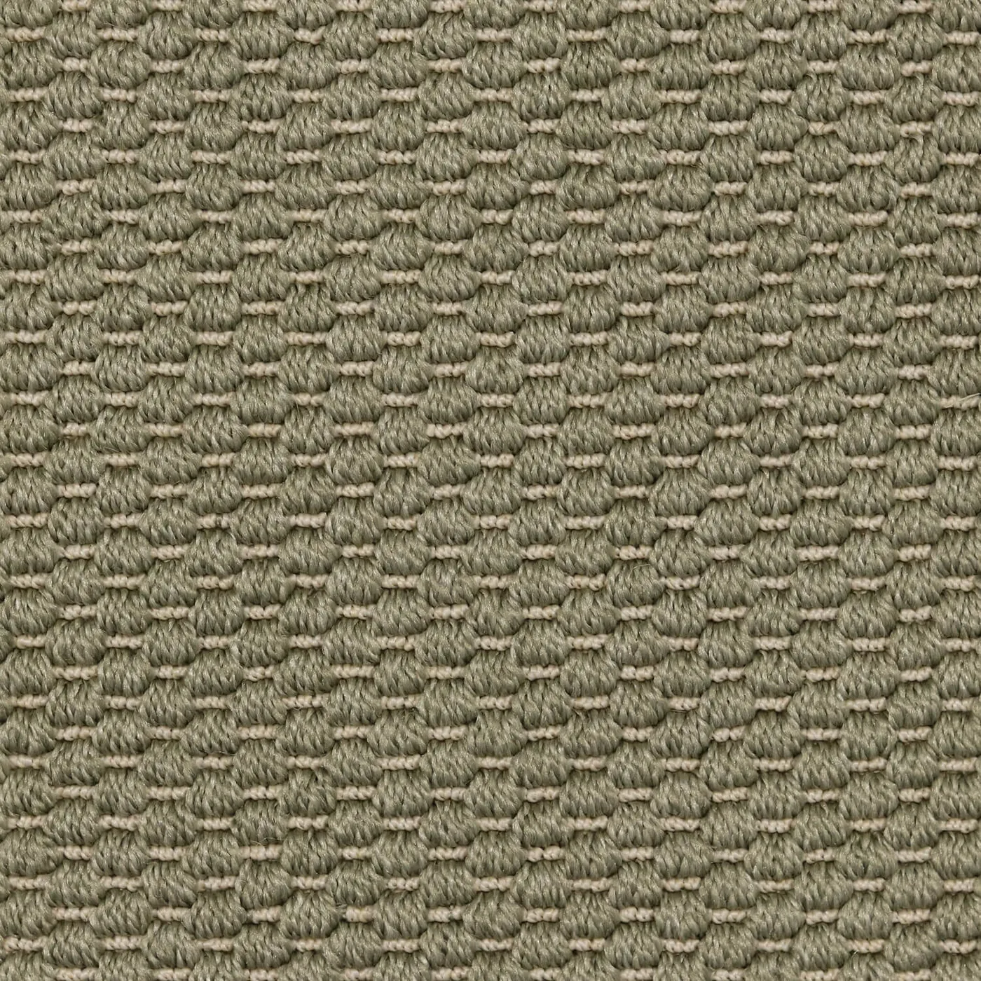 St. Francis Seagrass