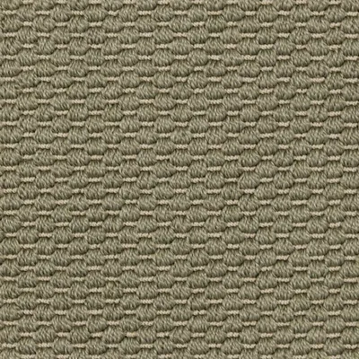 Seagrass