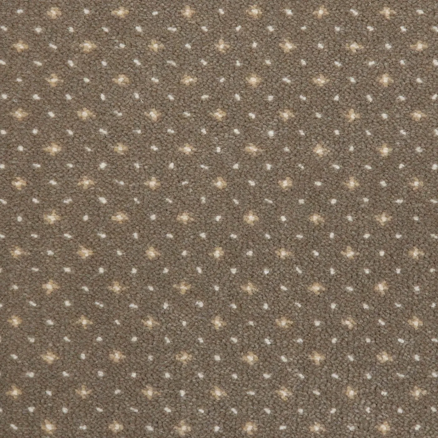 Mountain Top Truffle