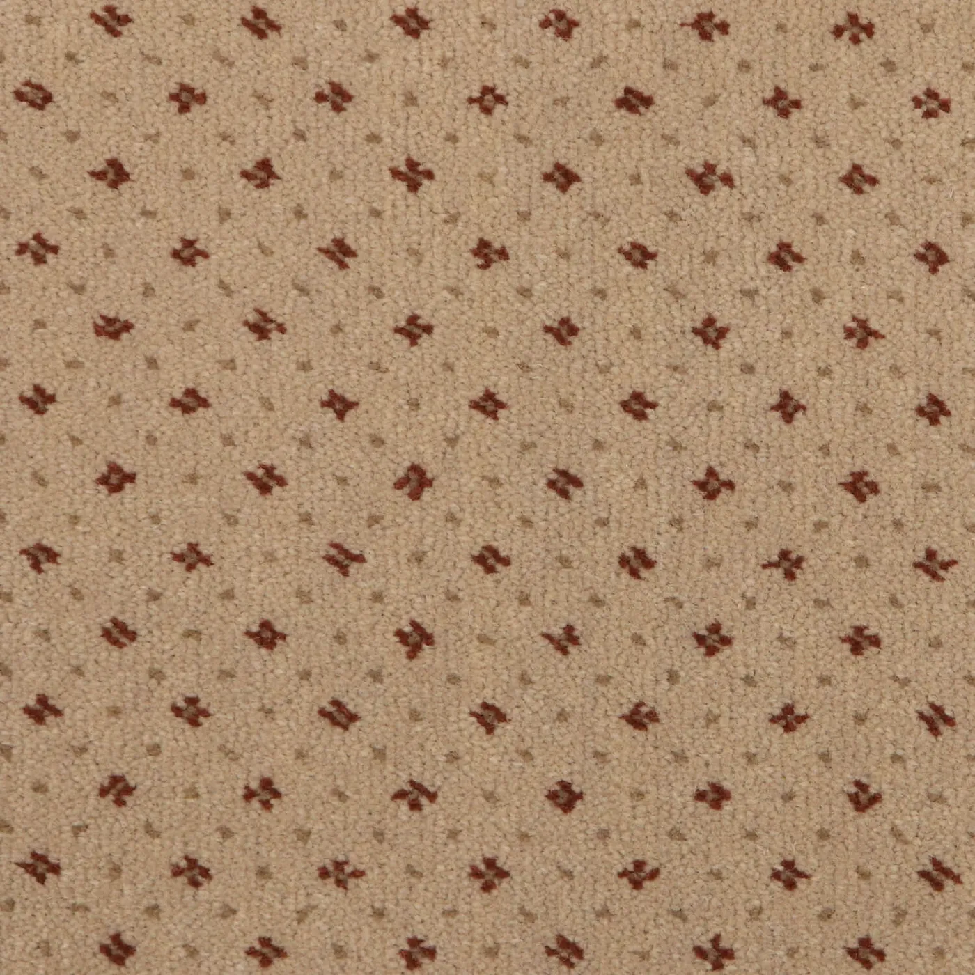 Mountain Top Sienna