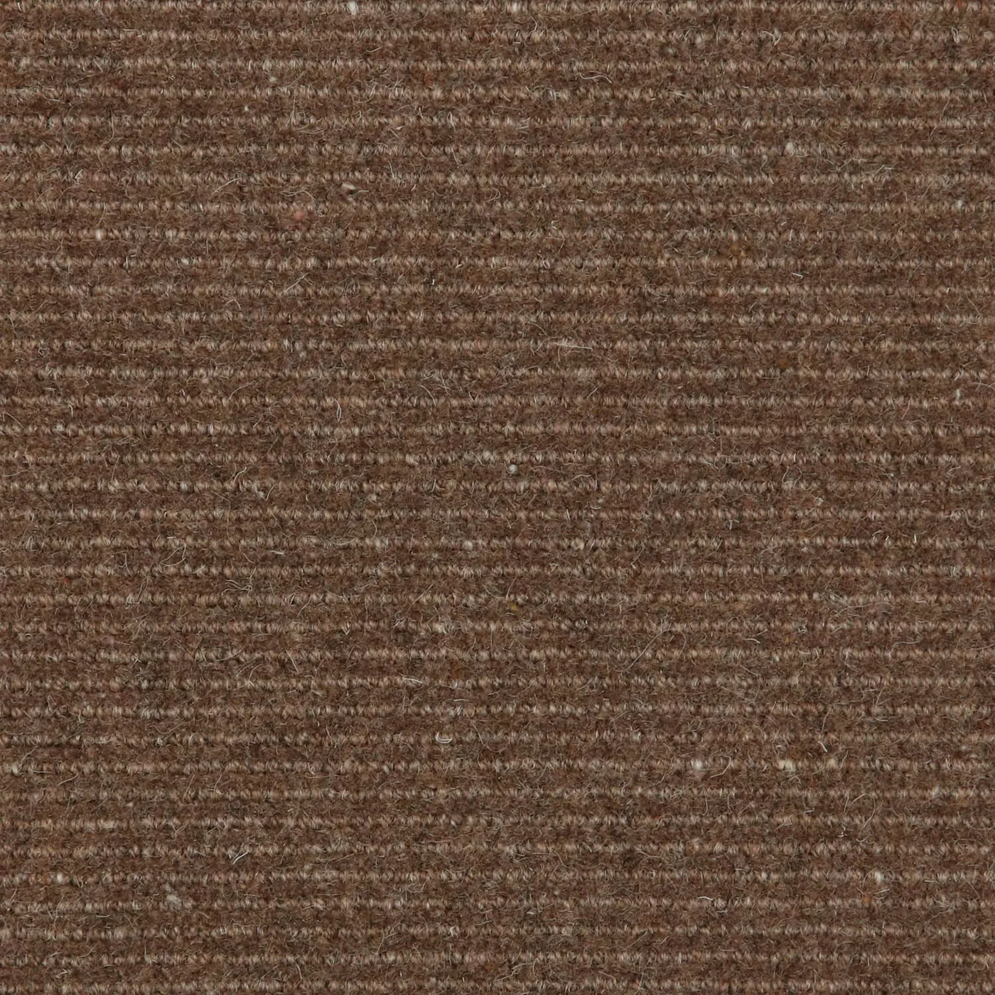 Rare Waters Camel Brown