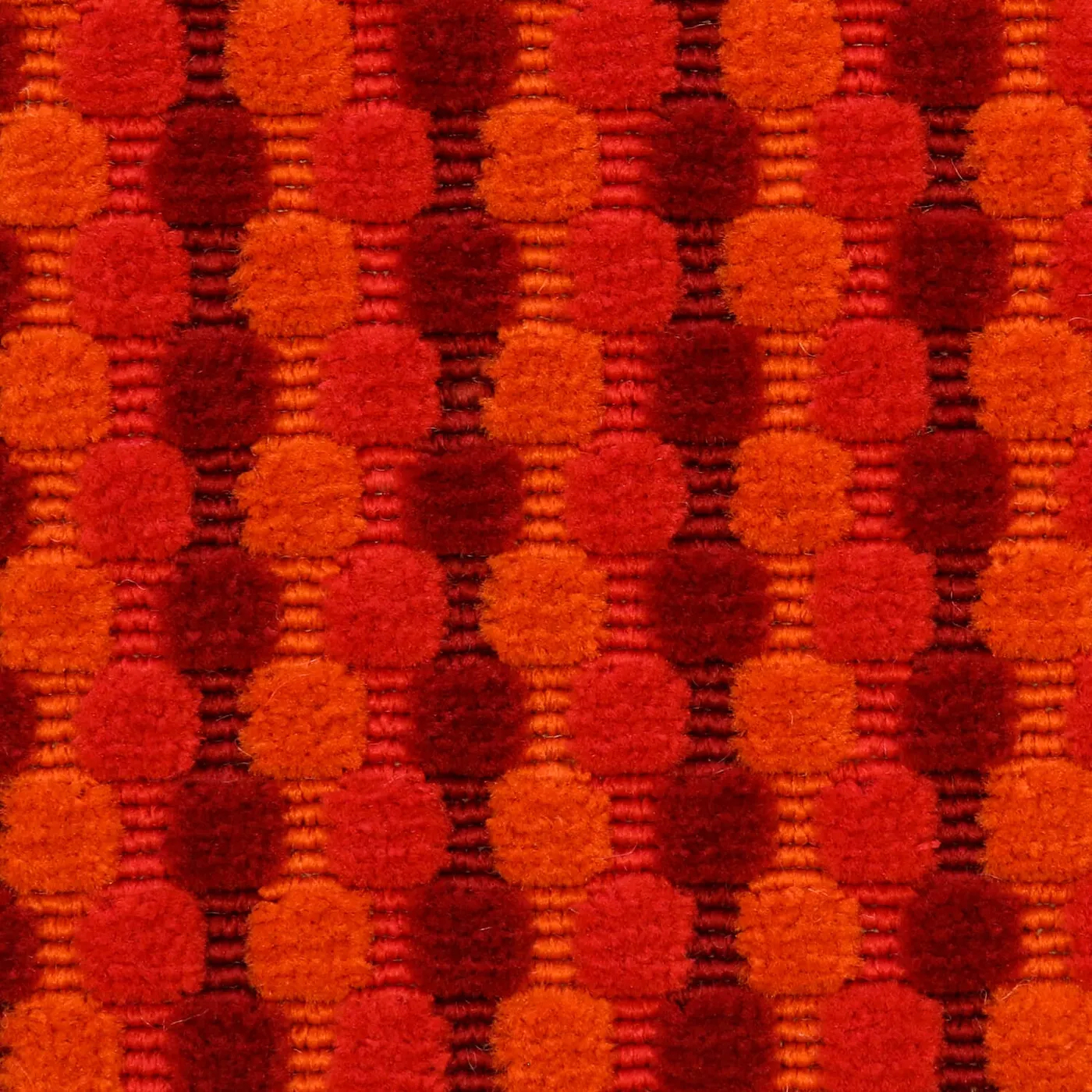 Cotton Ball Flame Flower