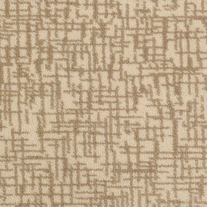 Etched Glass Circadian Rhythm