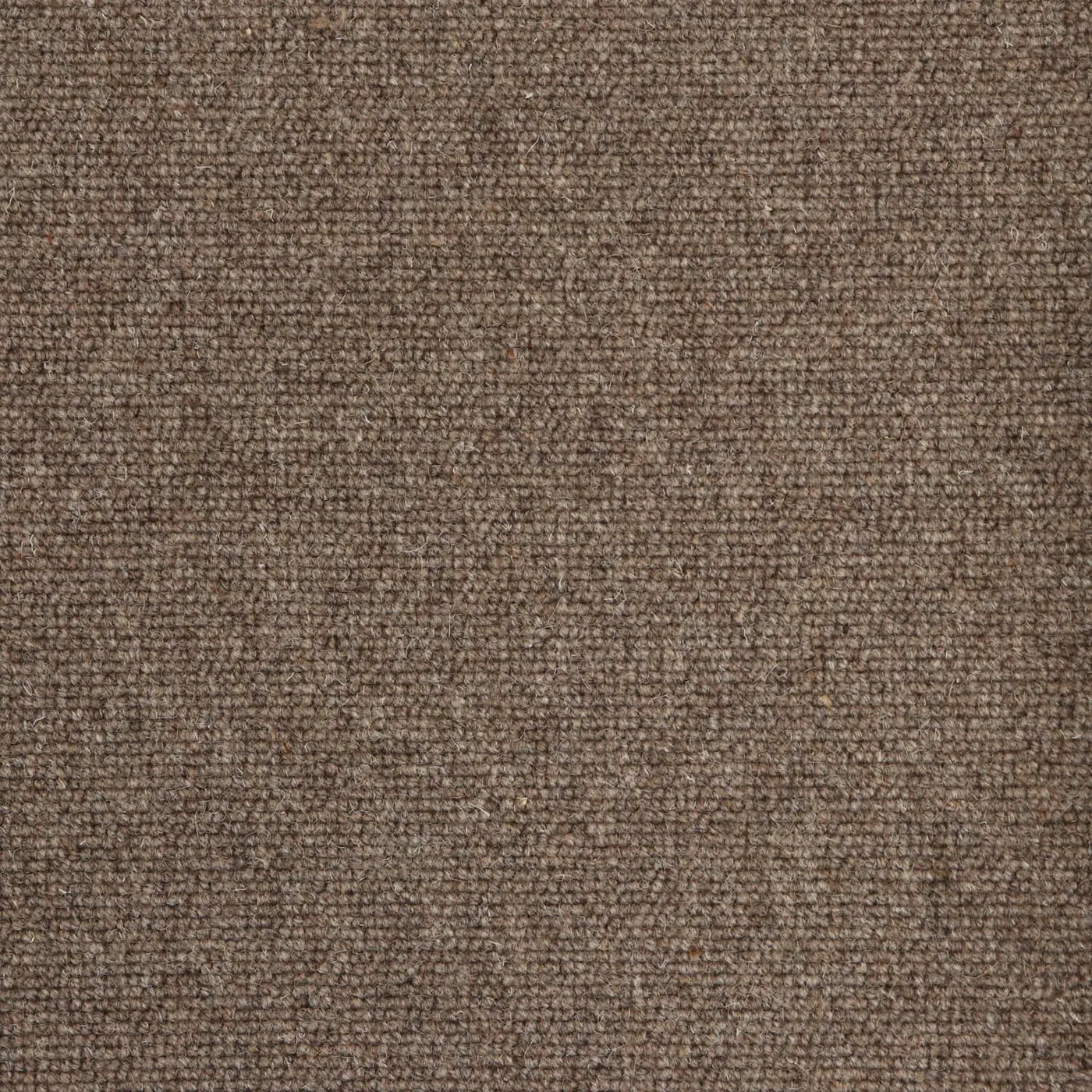 Vanogon Karadi Grey