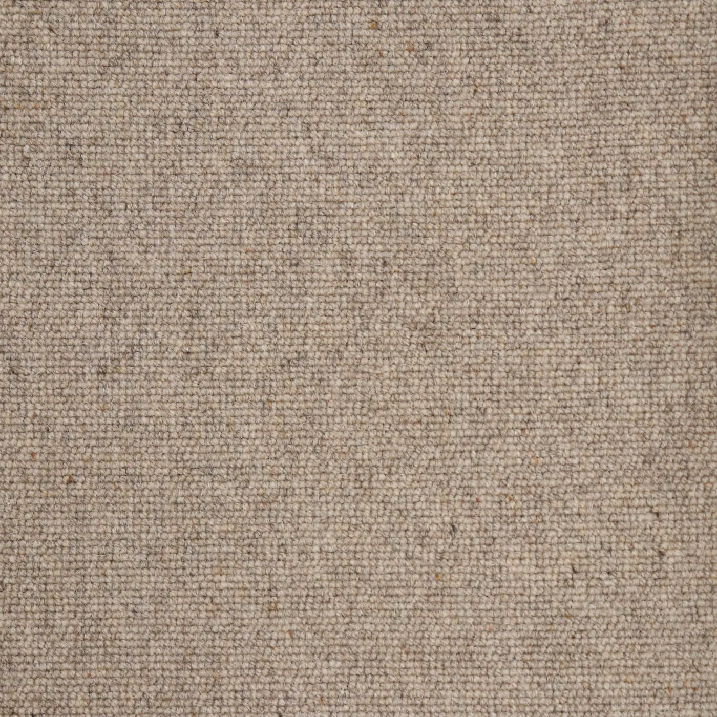 Vanogon Sand Dune