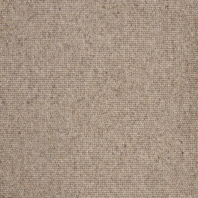 Vanogon Sand Dune