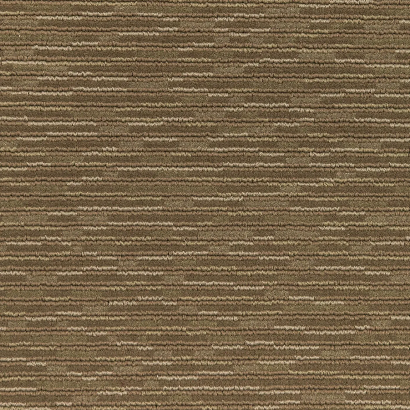 Ancestry Dark
