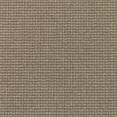 Cone