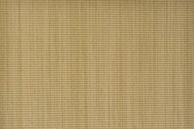 Caraway