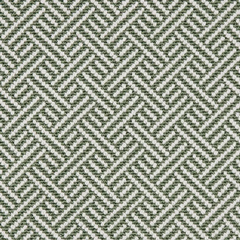 Shiner Seagrass