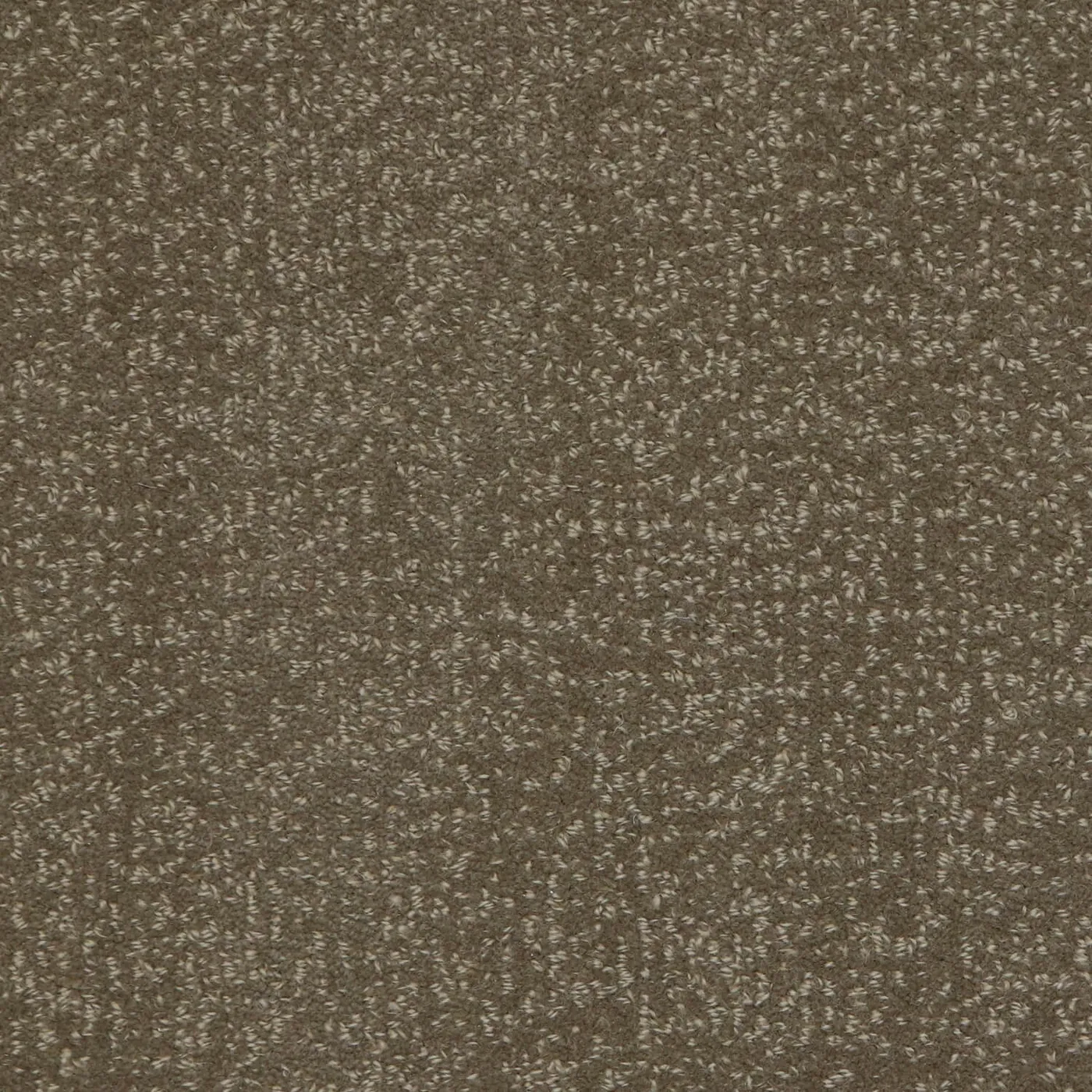 Woolshire Taupe