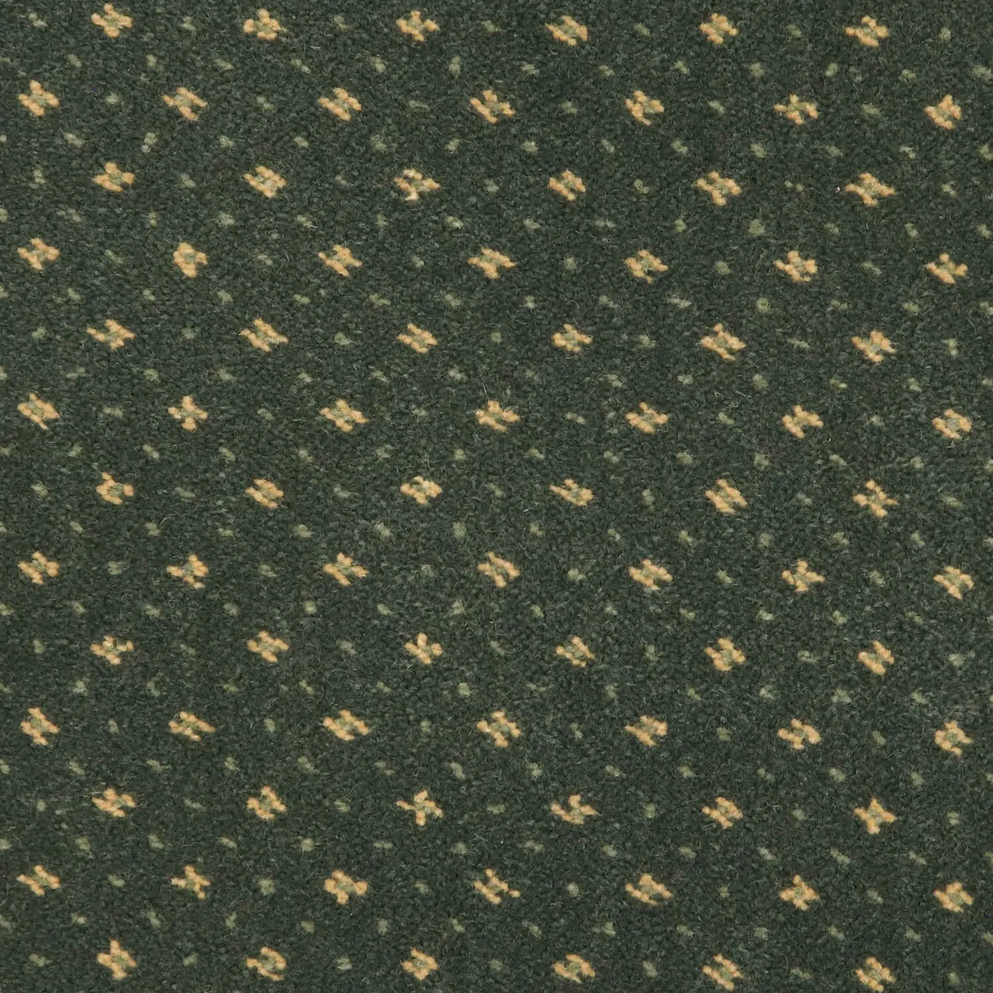 Mountain Top Spruce
