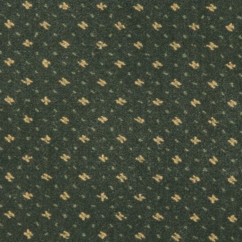 Mountain Top Spruce