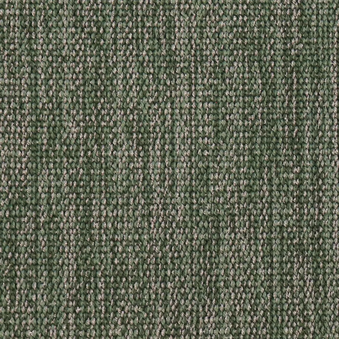 Ingrained Cactus